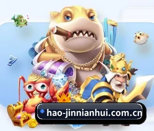 hao-jinnianhui.com.cn的故事